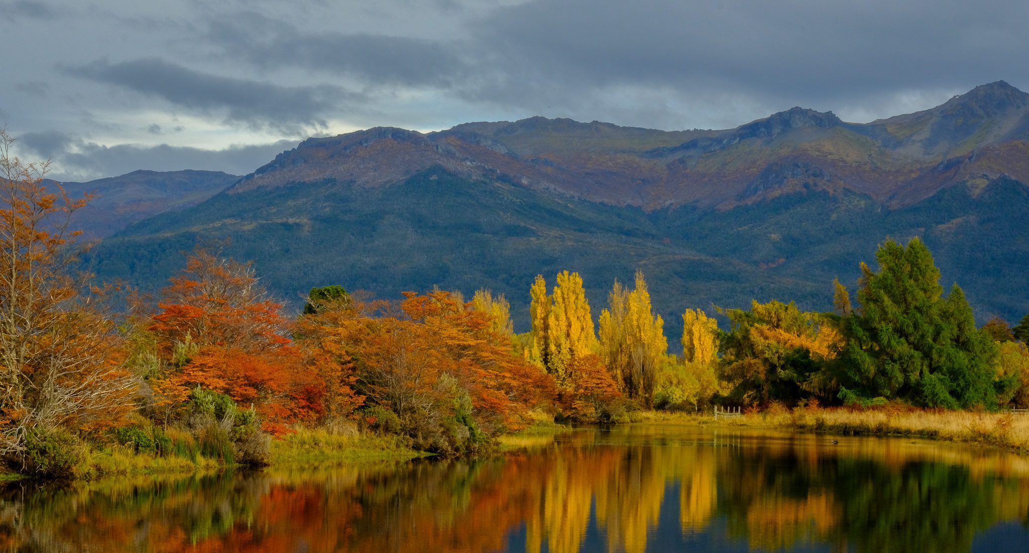 Estancia María S